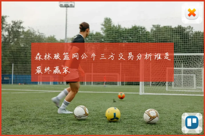 森林狼篮网公牛三方交易分析谁是最终赢家