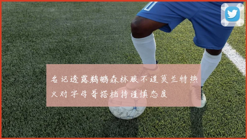 名记透露鹈鹕森林狼不追莫兰特热火对字母哥搭档持谨慎态度