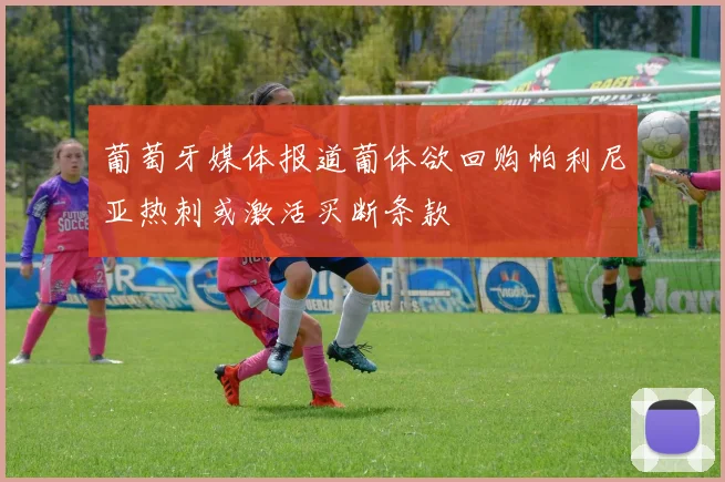葡萄牙媒体报道葡体欲回购帕利尼亚热刺或激活买断条款